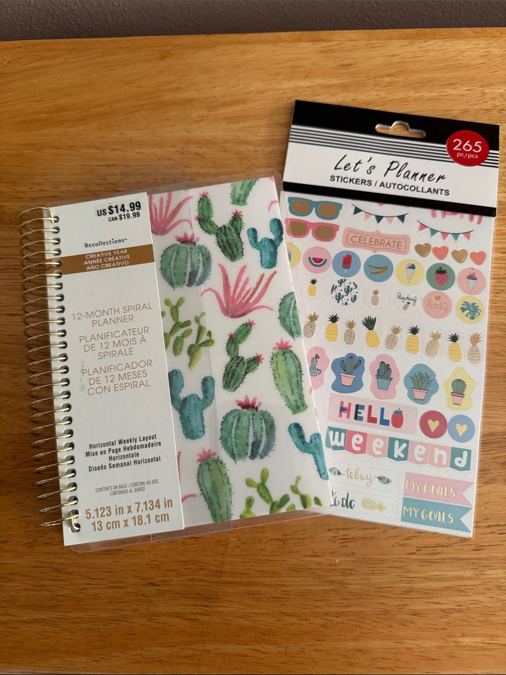 Recollections Cactus Spiral Planner & Sticker Sheet - Pink, Green, Blue